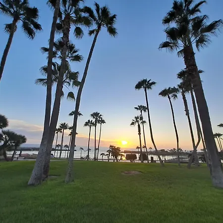 Incredible Sunsets *